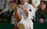 oyama karate (23)