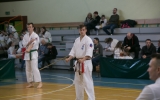 oyama karate (31)