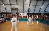 oyama karate (37)