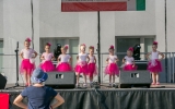 reczno piknik (29)