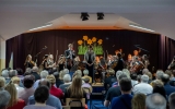 koncert rozprza (50)
