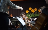 koncert rozprza (57)
