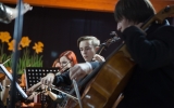 koncert rozprza (7)